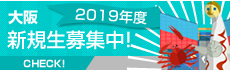 大阪校 夏期講習募集中