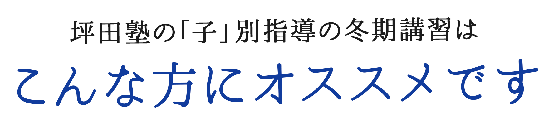 坪田塾の「子」別指導の冬期講習はこんな方にオススメです